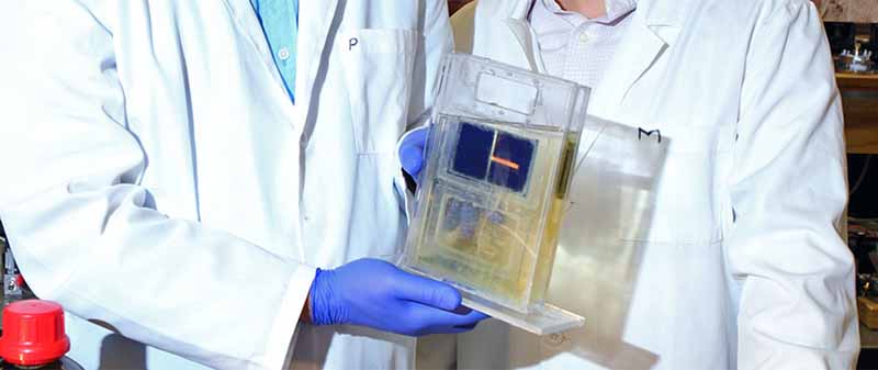 solar-cell-photosynthesis