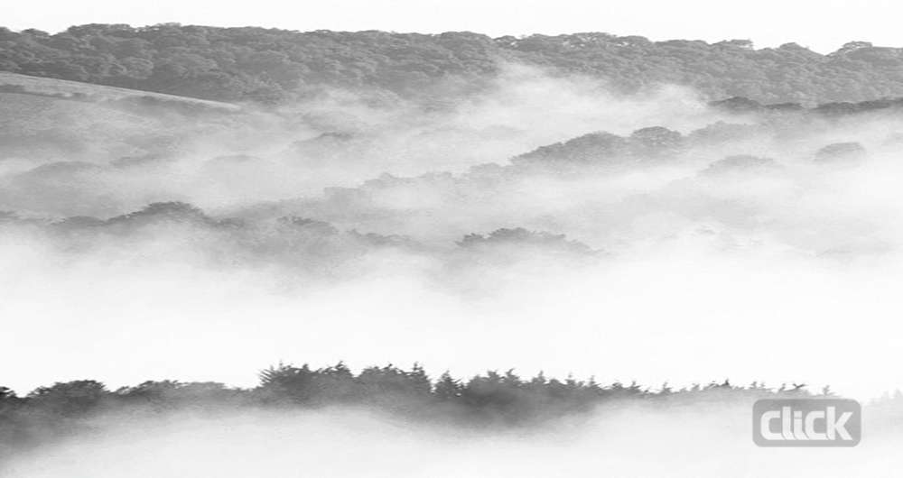 چگونه عکس سیاه و سفید خوبی بگیریم؟