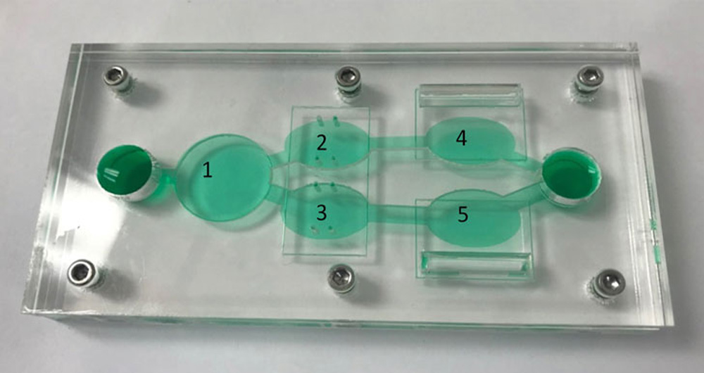 اندام تراشه