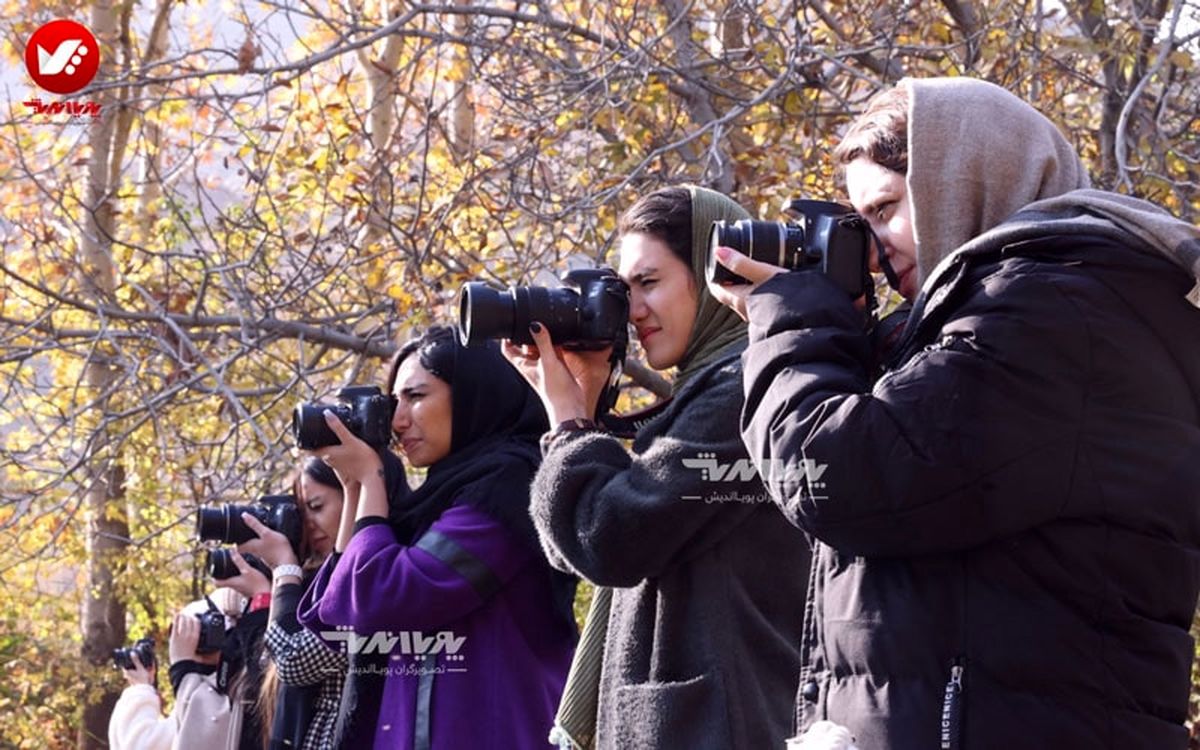 چگونه یک فیلمبردار حرفه ای شویم؟ راهنمای جامع