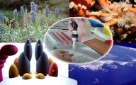 کاهش ضایعات کشاورزی و تصفیه آب های سطحی با استفاده از فناوری نانو