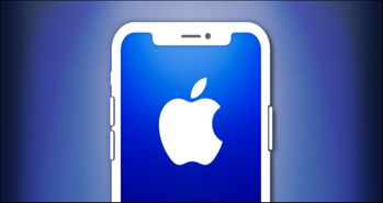 اجرای میانبرهای روی صفحه با استفاده از قابلیت ضربه زدن پشت گوشی آیفون