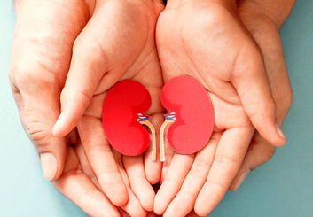 مشکل ناسازگاری گروه خونی برای پیوند اعضای بدن حل شد