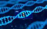 تولید جنین مصنوعی انسان از DNA