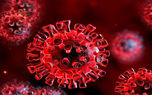 سویه جدید و جهش‌یافته کرونا زیر ذره‌بین سازمان بهداشت جهانی و CDC آمریکا
