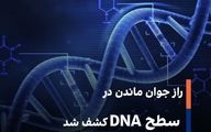 راز جوان‌ ماندن در سطح DNA کشف شد