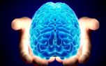 مغز انسان آنالوگ است یا دیجیتال؟