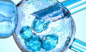 ترمیم ضایعات نخاعی با سلولهای بنیادی