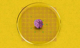 دانشمندان از ترکیب بافت مغز با قطعات الکترونیکی، بیوکامپیوتر ساختند